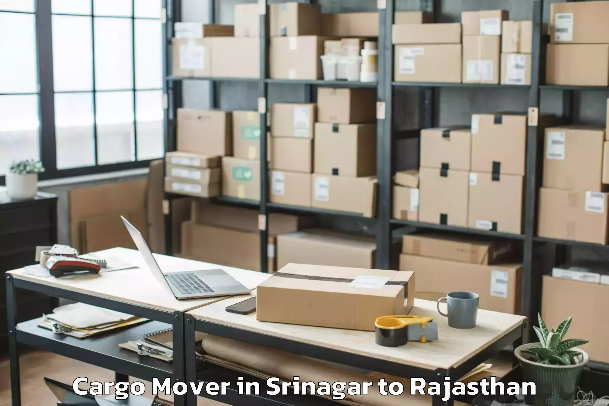 Book Srinagar to Malsisar Cargo Mover Online